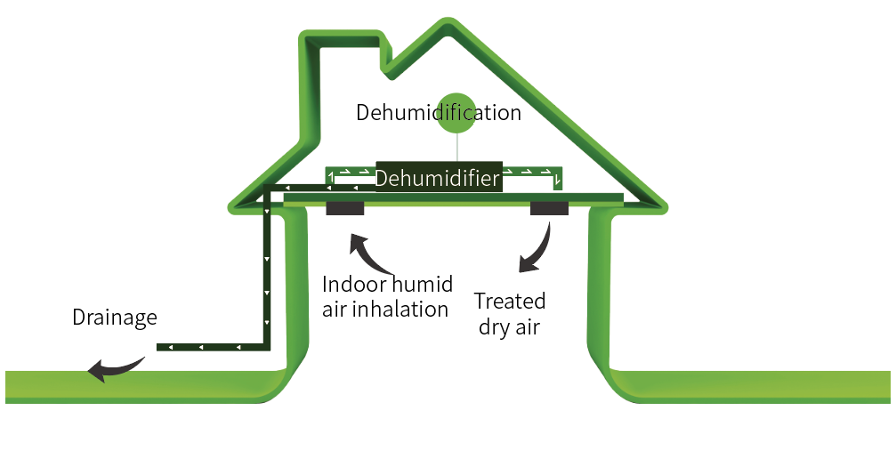 Fresh Air Purification and Dehumidification System Diagram